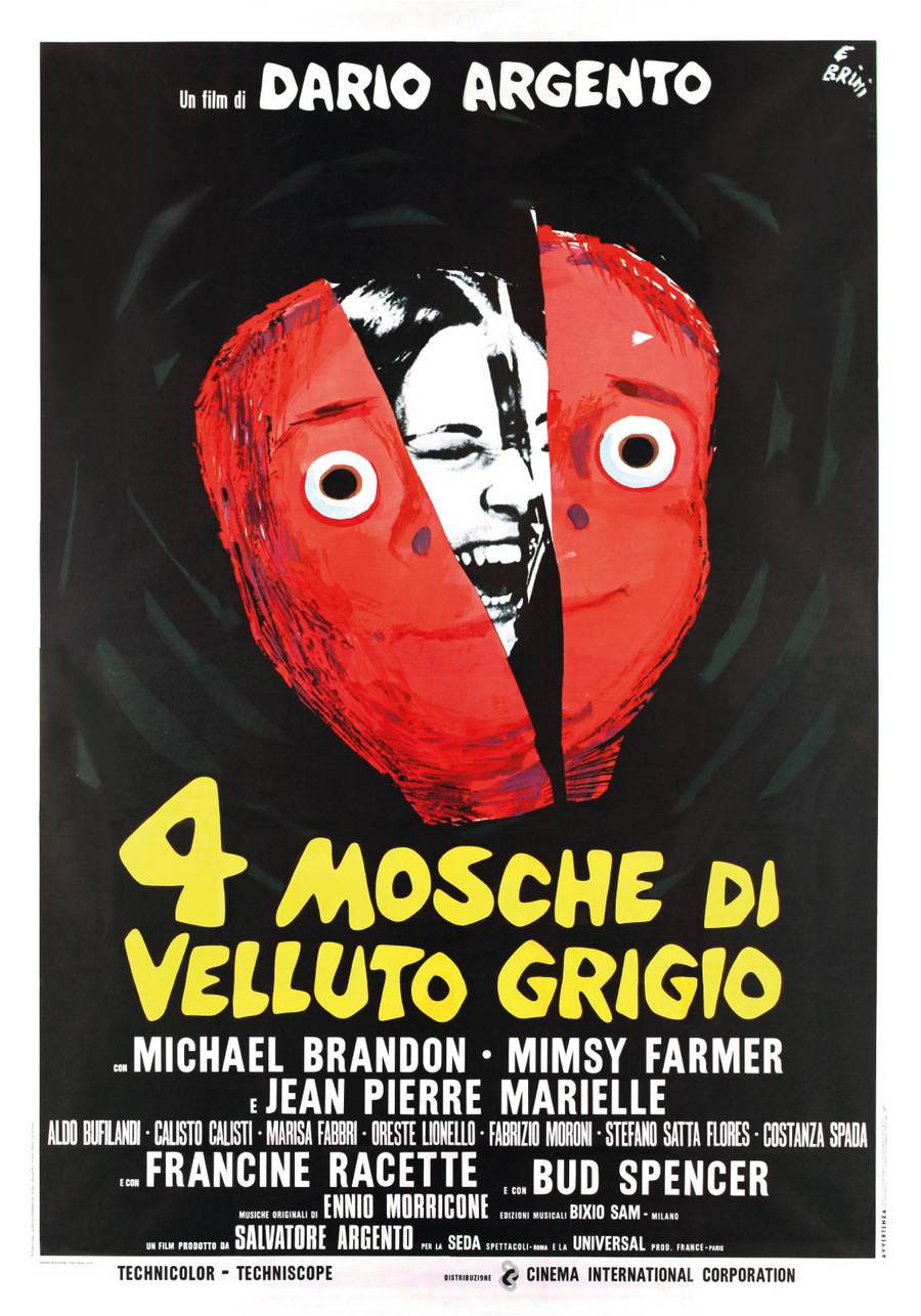 4 mosche di velluto grigio