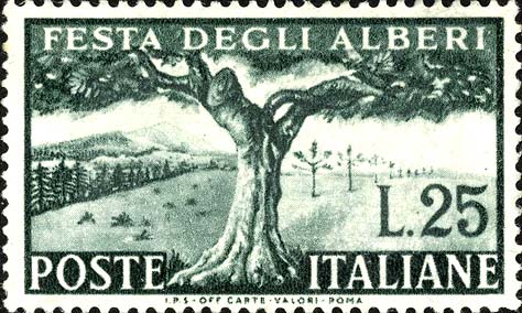 Francobollo Albero Secolare -  1951