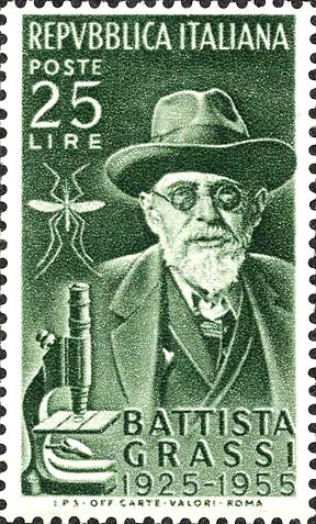 Francobollo Ritratto di Battista Grassi, Zanzara e Microscopio -  1955