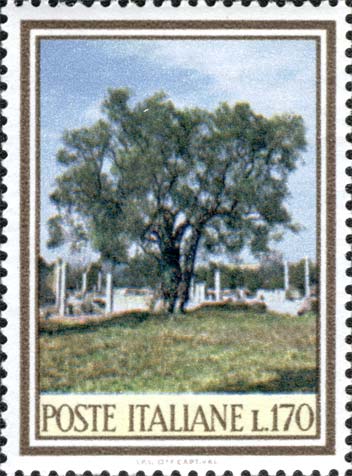 Francobollo Olivo a Villa Adriana -  1966