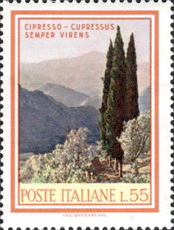 Francobollo Cipressi -  1968