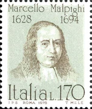 Francobollo Marcello Malpighi -  1978