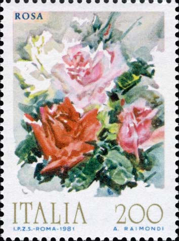 Francobollo Rosa -  1981