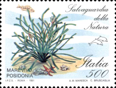 Francobollo Marevivo Posidonia -  1991