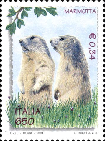 Francobollo Marmotta -  2001