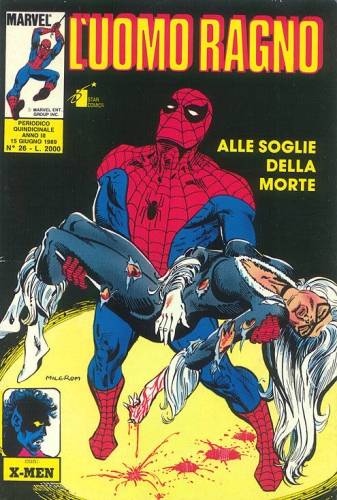 Fumetto Spider-Man -  1989