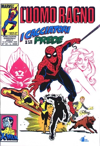 Fumetto Spider-Man -  1989