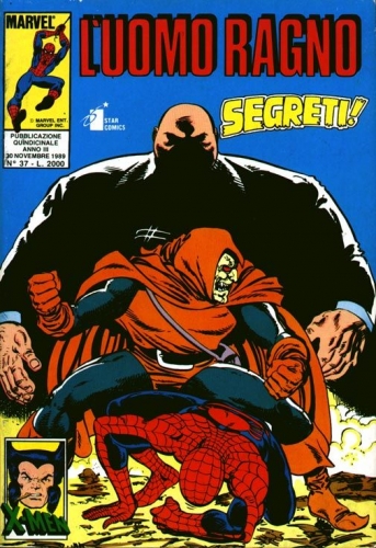 Fumetto Spider-Man -  1989