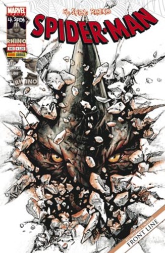 Fumetto Spider-Man -  2010