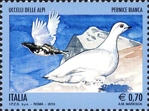 Francobollo Pernice Bianca -  2013