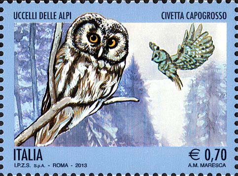 Francobollo Civetta Capogrosso -  2013