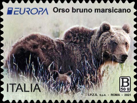Francobollo Orso Marsicano -  2021